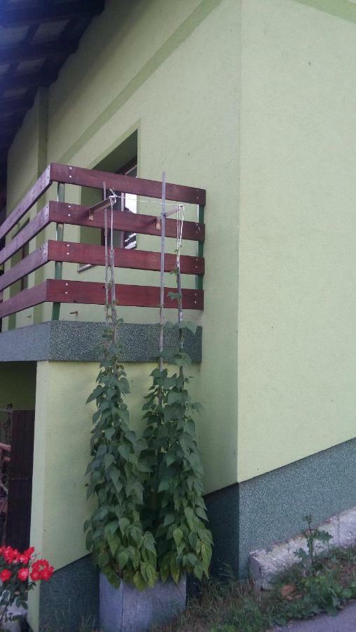 Apartma Juha - Breg pri Borovnici Luaran gambar