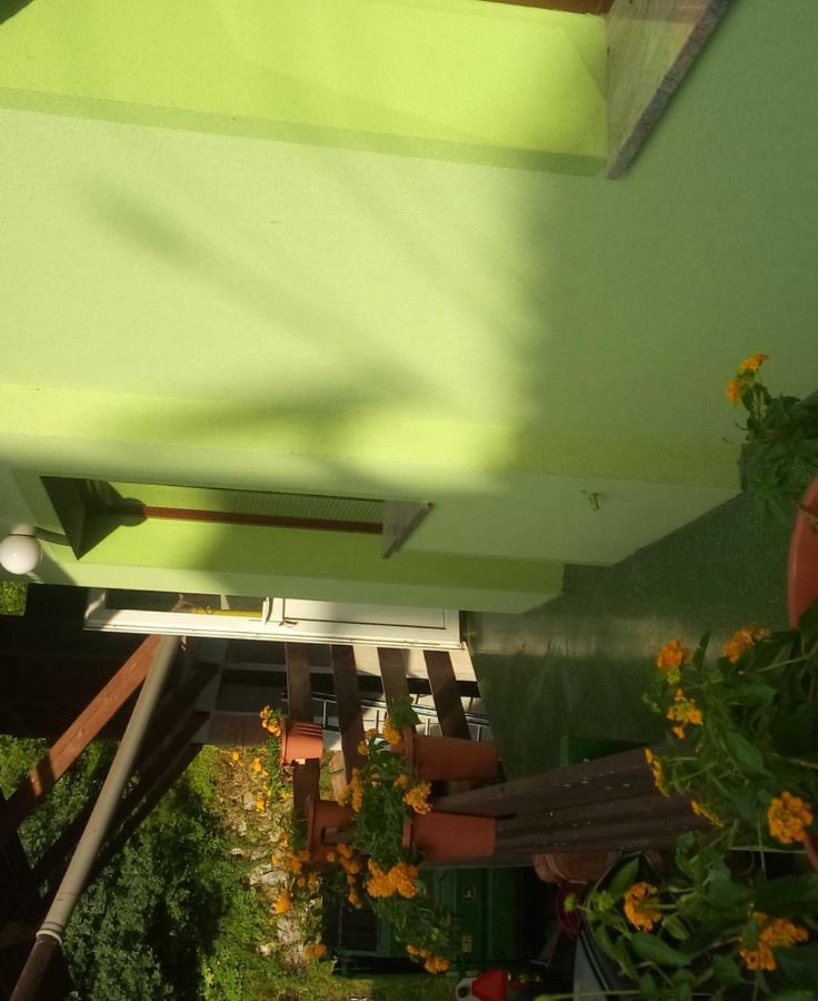 Apartma Juha - Breg pri Borovnici Luaran gambar