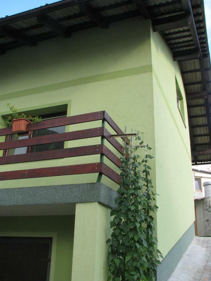 Apartma Juha - Breg pri Borovnici Luaran gambar